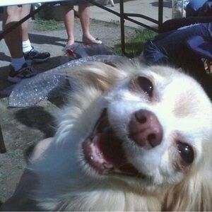 Meet your Posher, Lorena